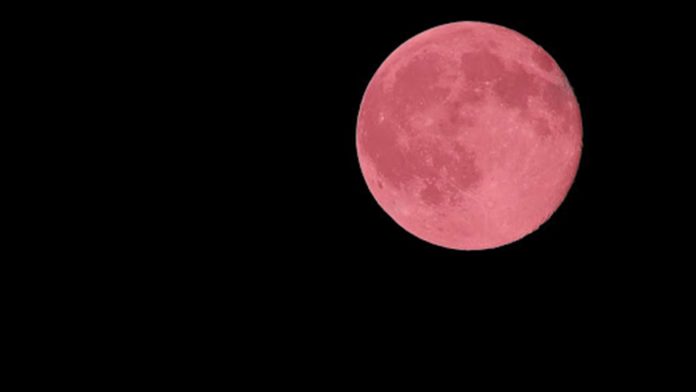 Superluna Rosada en Abril - Noticiero de Venezuela Superluna Rosada en Abril - Noticiero de Venezuela