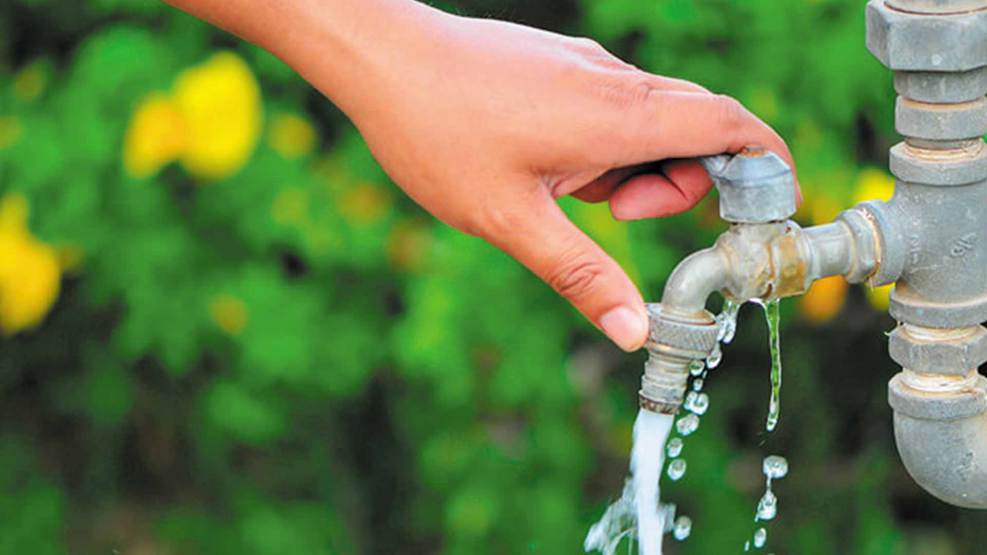 Consejos Para Ahorrar Agua En Casa Y Reducir Su Desperdicio Ndv | Porn ...