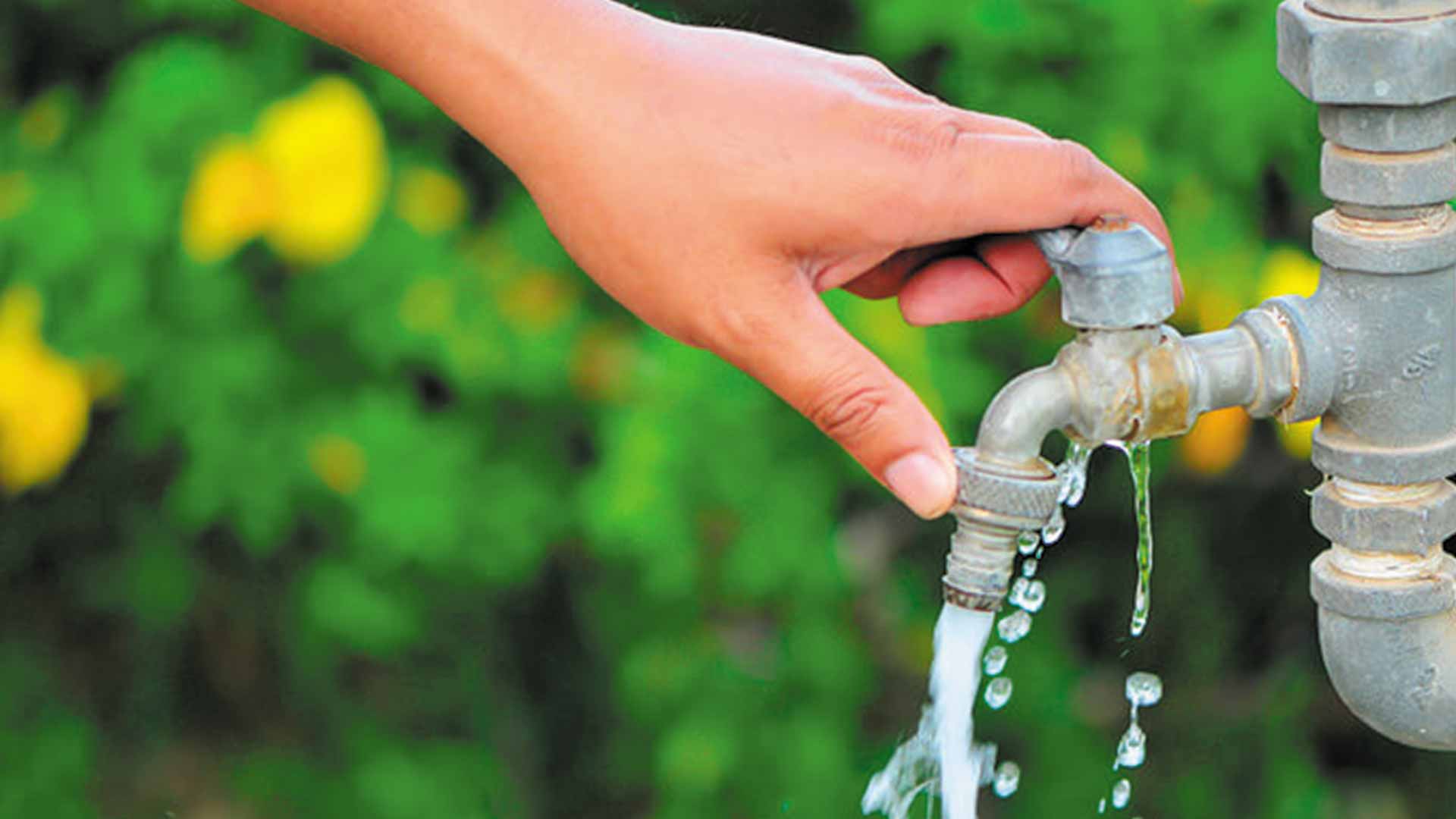 Proyectos Para Ahorrar Agua En El Colegio