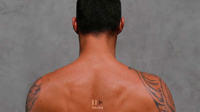 Ricky Martin Pausa - ndv