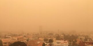 Investigadora estudia efectos del polvo sahariano - Noticiero de Venezuela