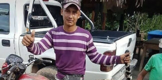 Sujeto asesinó a un jaguar en Barinas - Noticiero de Venezuela