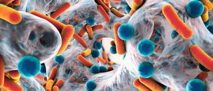 Bacterias intestinales diagnosticarían la diabetes - NDV