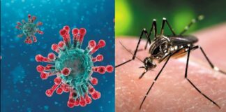 Inmunidad al coronavirus - Noticiero de Venezuela