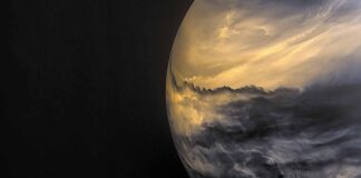 Nuevos descubrimientos de vida en Venus - Noticiero de Venezuela