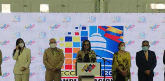 Simulacro electoral del 15N - NDV