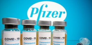 Pfizer estima lanzamiento rápido de vacuna - NDV