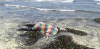 migrantes muertos en orilla de costas en Libia - NDV
