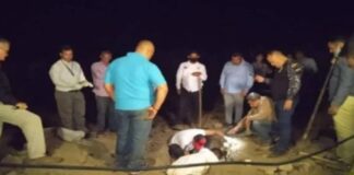 Hallaron enterrada en Portuguesa a mujer