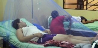 Venezuela país con más malaria en América