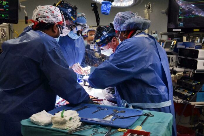 Médicos implantan un corazón de cerdo