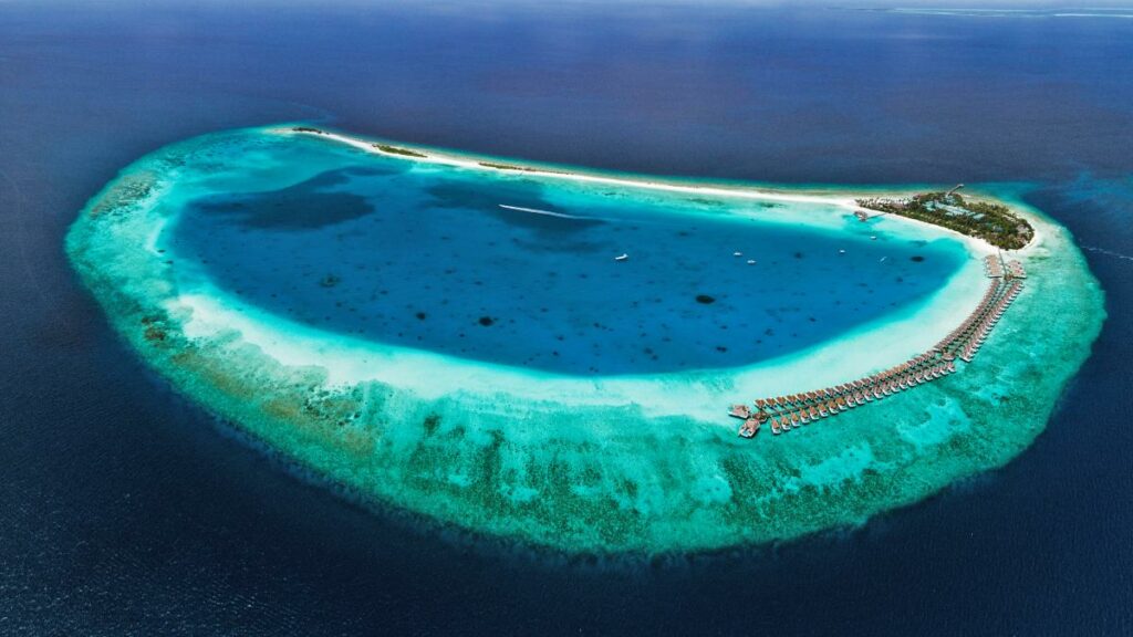 Maldivas-pez-arcoiris
