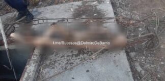 Cadáver tanque de agua Guárico-NDV