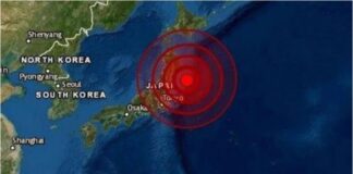 Terremoto produjo en Japón