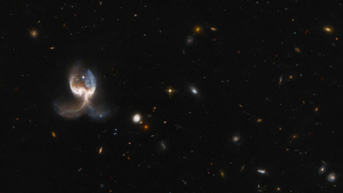 Hubble ala de ángel-ndv