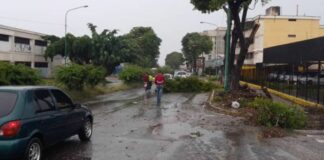 árboles caídos por lluvia en Barquisimeto