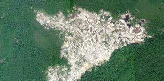 Deforestación en parque Yapacana-ndv