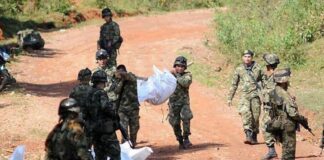combates ELN y FARC