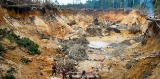 Guárico minería ilegal