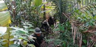 minería ilegal en Amazonas