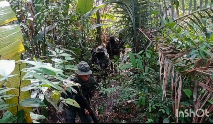 minería ilegal en Amazonas