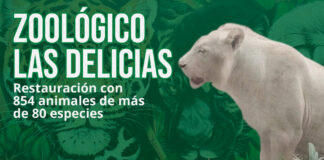 zoológico las delicias maracay- noticiero de Venezuela