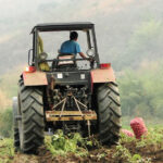 sector primario de alimentos IGTF IVA-ndv