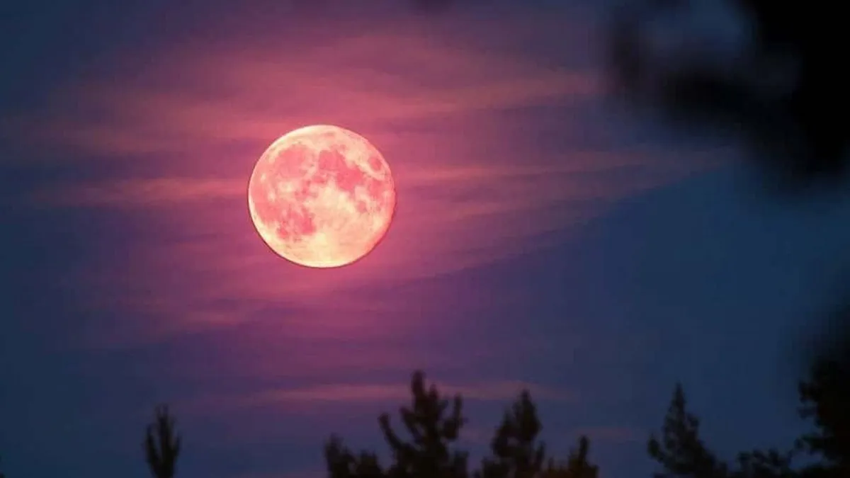 Cuándo es la Luna Rosa ¿Cómo y dónde ver este fenómeno?