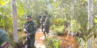 FANB minería ilegal en Amazonas