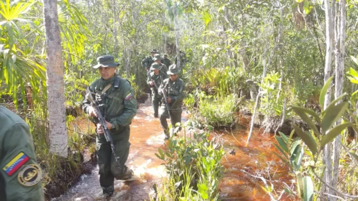 FANB minería ilegal en Amazonas