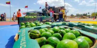 Venezuela exporta frutas y verduras vía marítima a Curazao-ndv