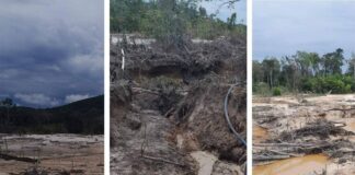 Fuerzas Armadas y la minería ilegal