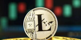 Litecoin 100 dólares-ndv