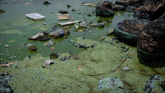 Contaminación en el Lago de Maracaibo