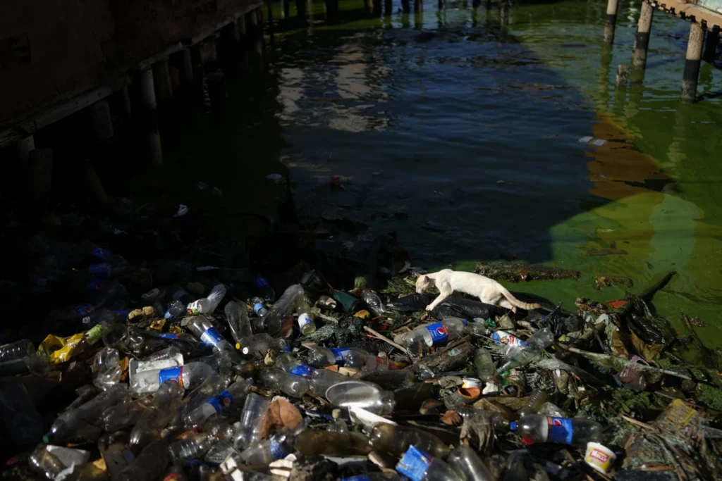 Contaminación del lago de Maracaibo