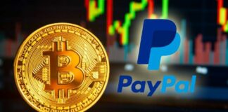 Paypal stablecoin-NDV