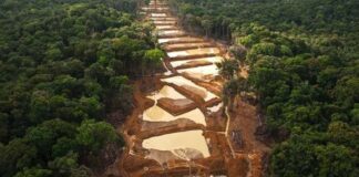 Desmanteladas minas ilegales en Yapacana