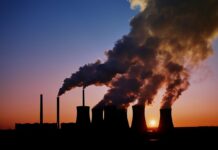 cambio climático muertes prematuras-NDV