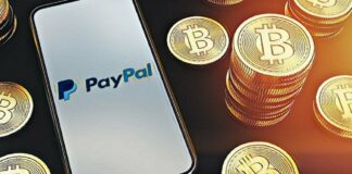 tokens falsos Paypal-NDV