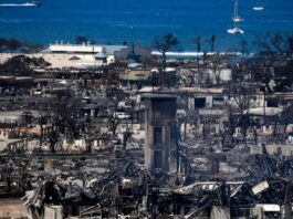 Tragedia en Hawái incendios en Maui, Hawái-NDV