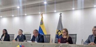 CNE servicio técnico primarias-NDV