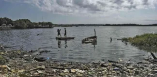 Desechos recolectado Lago de Maracaibo
