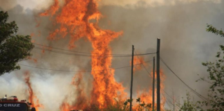 incendio forestal en argentina- ndv