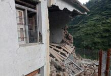 cinco terremotos en la India