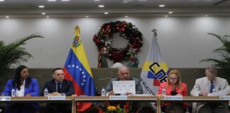 CNE constitucionalidad del referéndum consultivo