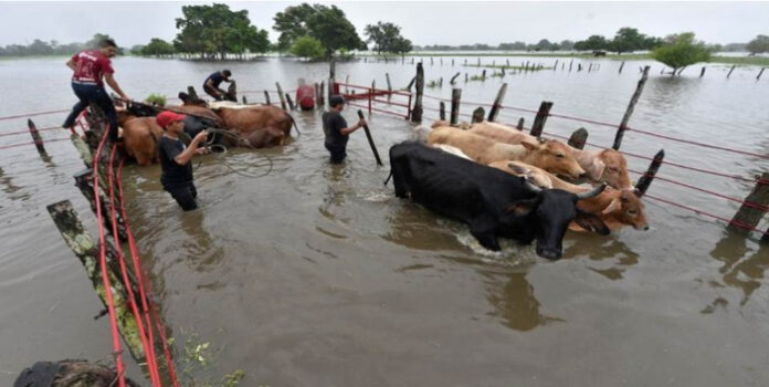 lluvias e inundaciones en el Zulia