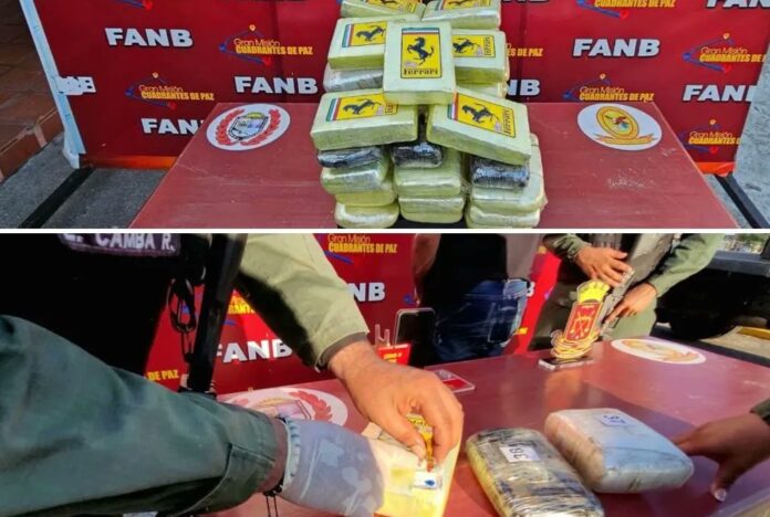 detenido concejal droga Zulia-ndv