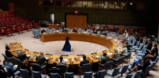 Guyana Consejo de Seguridad de ONU