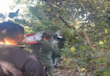 misil de Sukhoi en Guárico