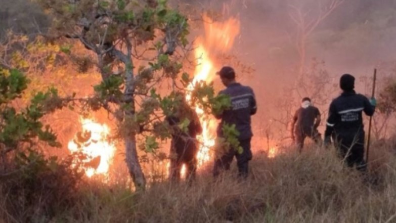 Personas detenidas por incendios forestales